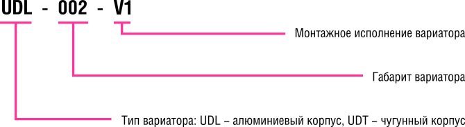 Variator_structure.png